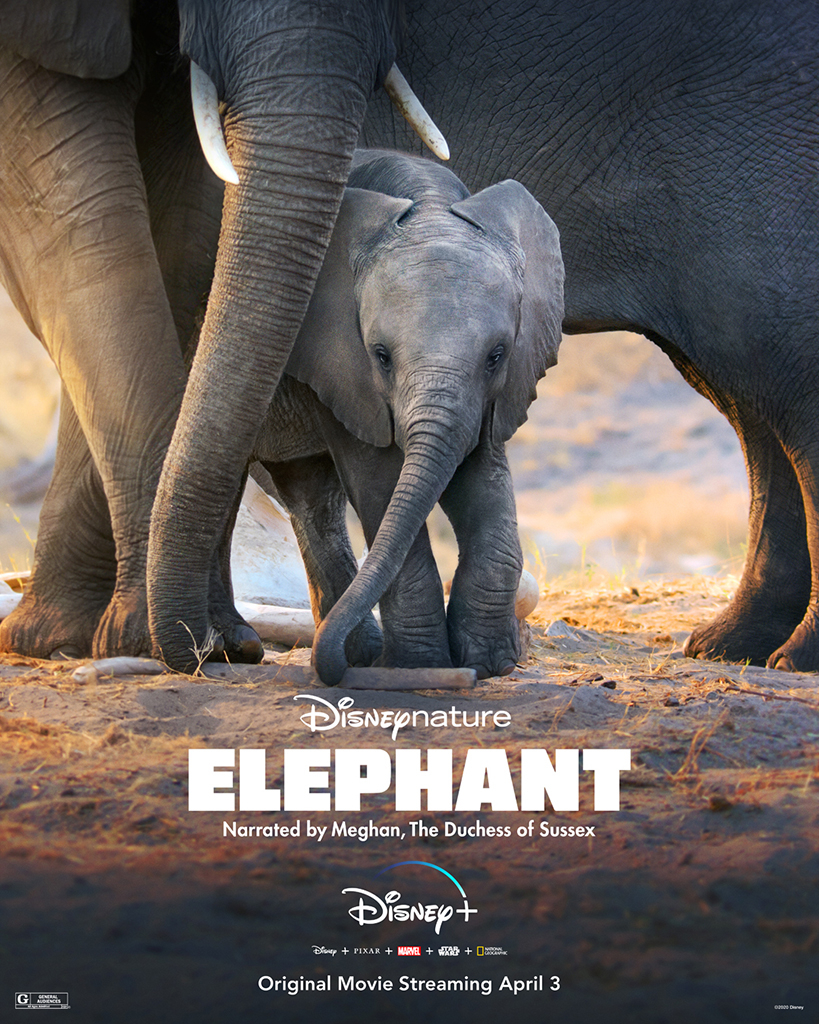 Meghan Markle, Disneynature, Elephant, Documentary